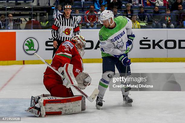 Jan Mursak of Slovenia tries to score against Kevin Lalande, goalkeeper of Belarus, during the IIHF World Championship group B match between Belarus...