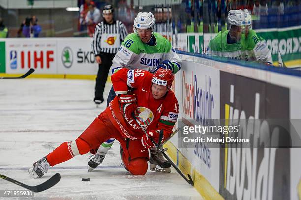 Andrei Kostitsyn of Belarus and Ales Music of Slovenia battle for the puck during the IIHF World Championship group B match between Belarus and...