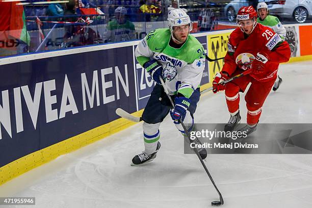 Nikita Ustinenko of Belarus and Rok Ticar of Slovenia battle for the puck during the IIHF World Championship group B match between Belarus and...