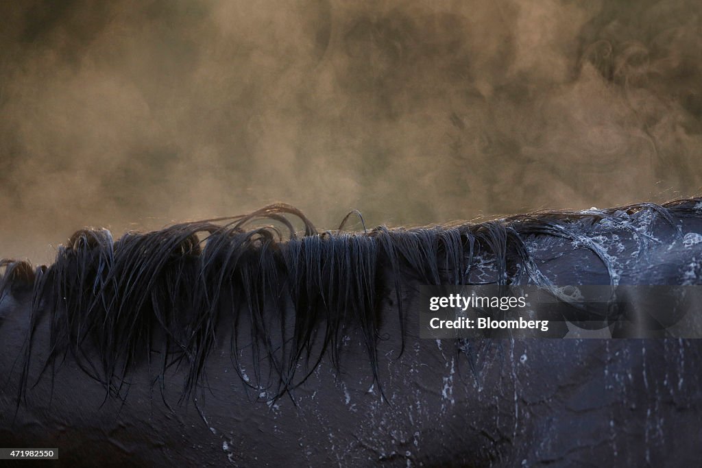 The 141st Running Of The Kentucky Derby