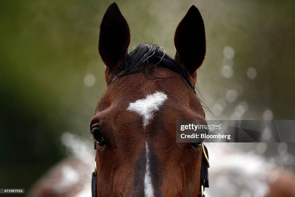 The 141st Running Of The Kentucky Derby