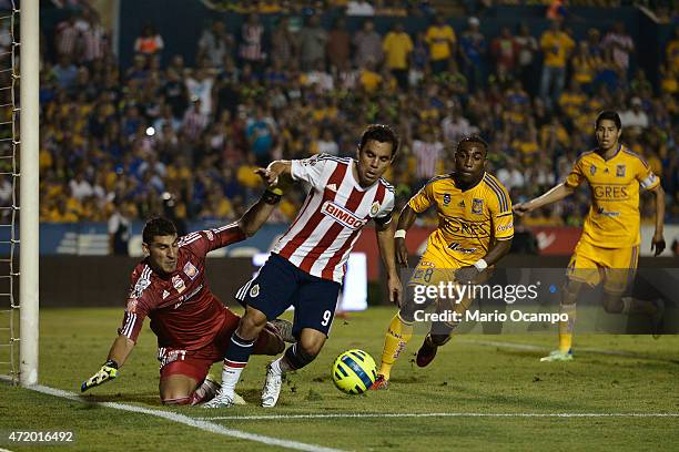 Omar Bravo of Chivas tries to score over Nahuel Guzman, goalkeeper of Tigres, during a match between Tigres UANL and Chivas as part of 16th round of...