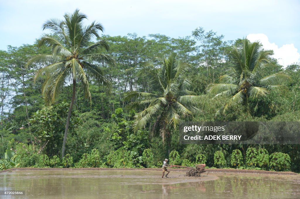 INDONESIA-ECONOMY-AGRICULTURE