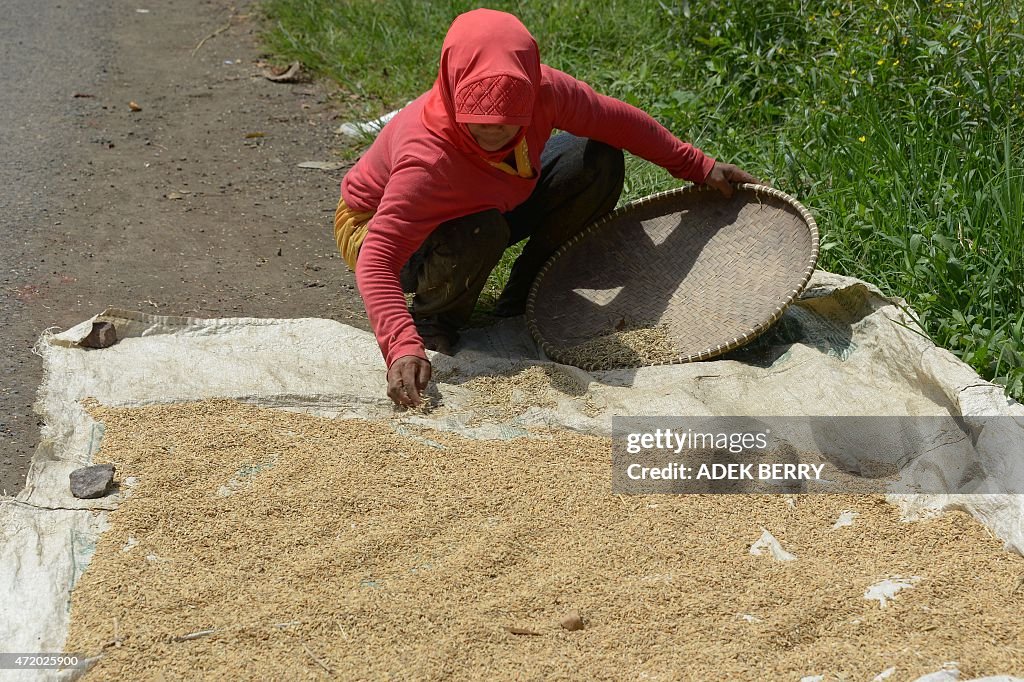 INDONESIA-ECONOMY-AGRICULTURE