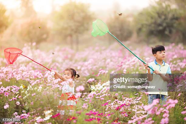 asian boy and girl caught a butterfly in the garden - catching butterfly stock pictures, royalty-free photos & images