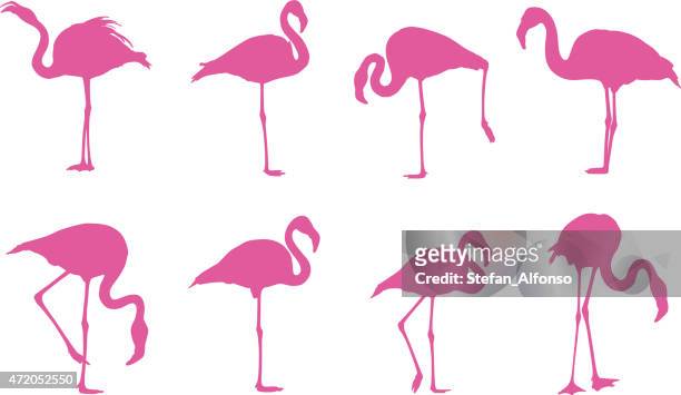 flamingos silhouettes - flamingo bird stock illustrations