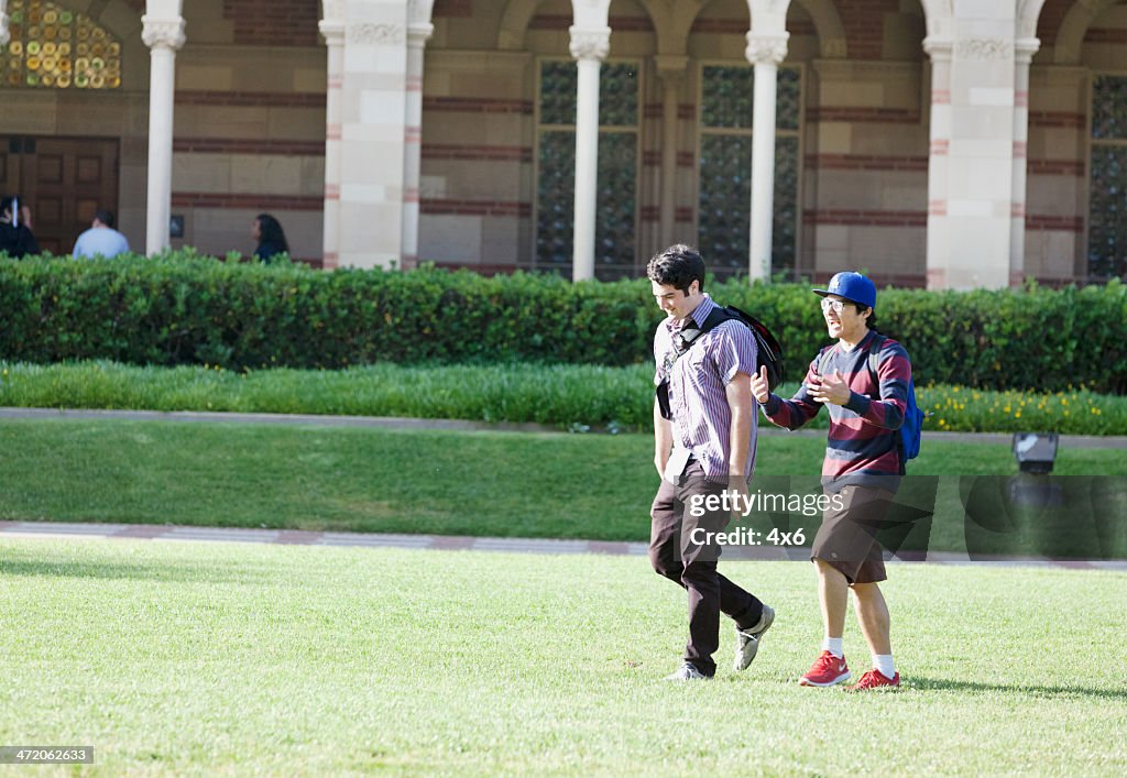 University of California, Los Angeles