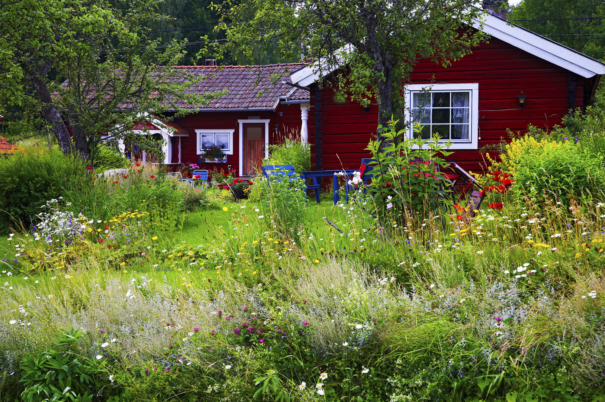 summer vacation rentals