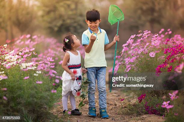 asian boy and girl caught a butterfly in the garden - catching butterfly stock pictures, royalty-free photos & images