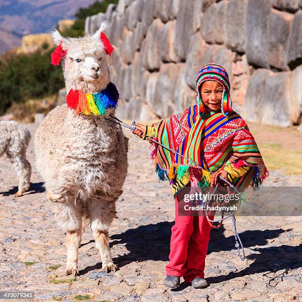 peruvian little boy wearing national clothing with llama near cuzco - urubamba valley stock pictures, royalty-free photos & images