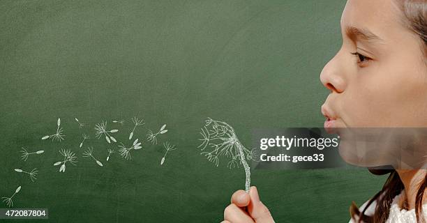 girl blowing dandelion on chalkboard - dandelion drawing stock pictures, royalty-free photos & images