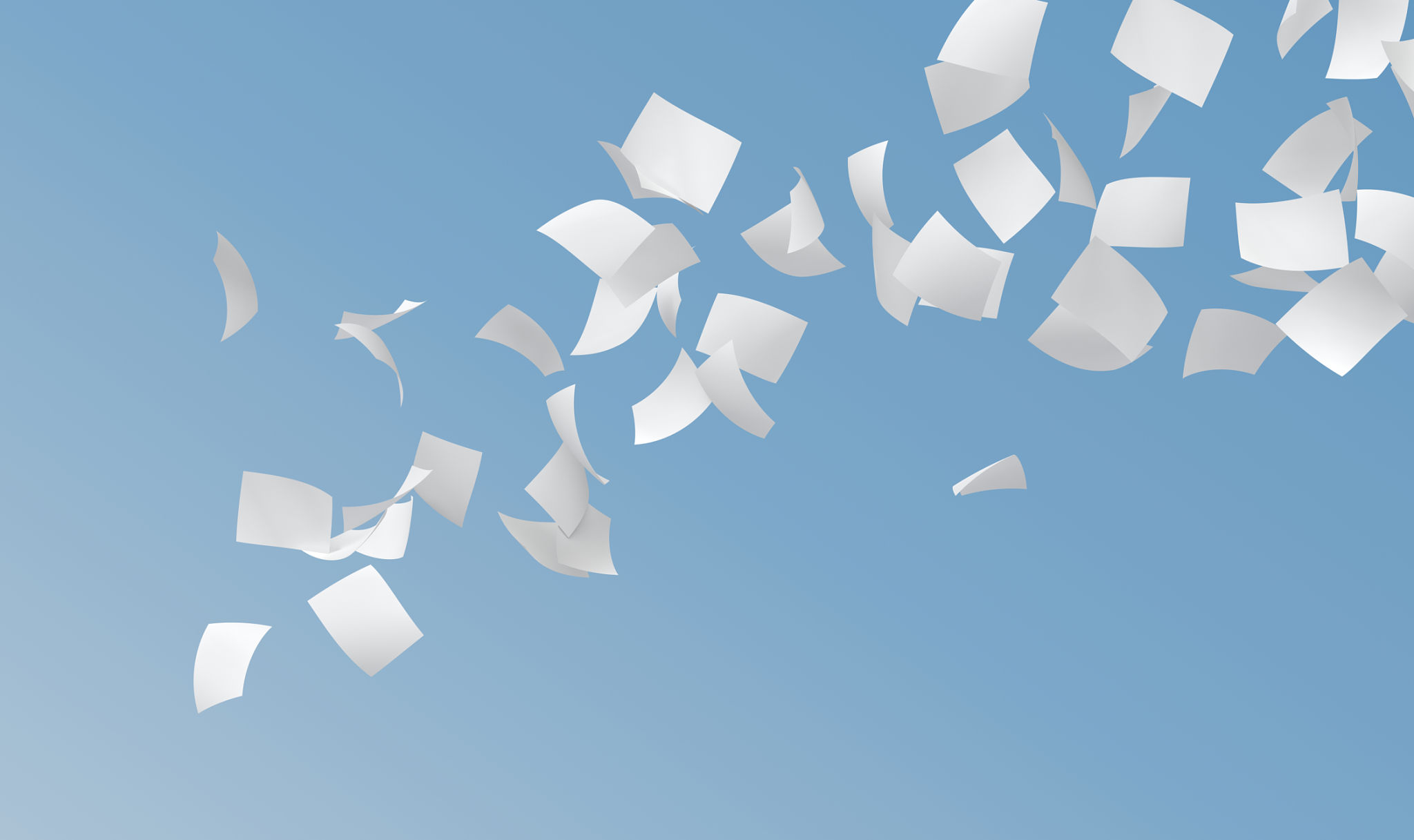flight documents