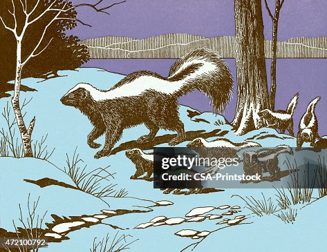 Skunks Skunks