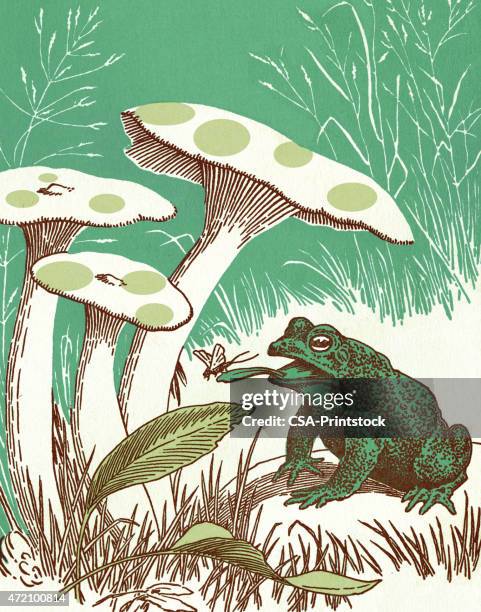 toad under mushrooms - toad stock illustrations