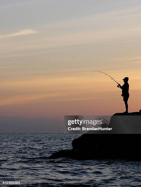 58 Bent Sea Rod Stock Photos, High-Res Pictures, and Images - Getty Images