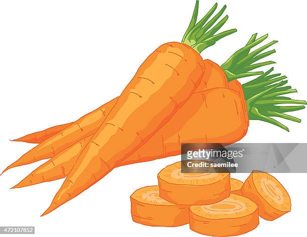 ilustraciones, imágenes clip art, dibujos animados e iconos de stock de zanahoria - carrot