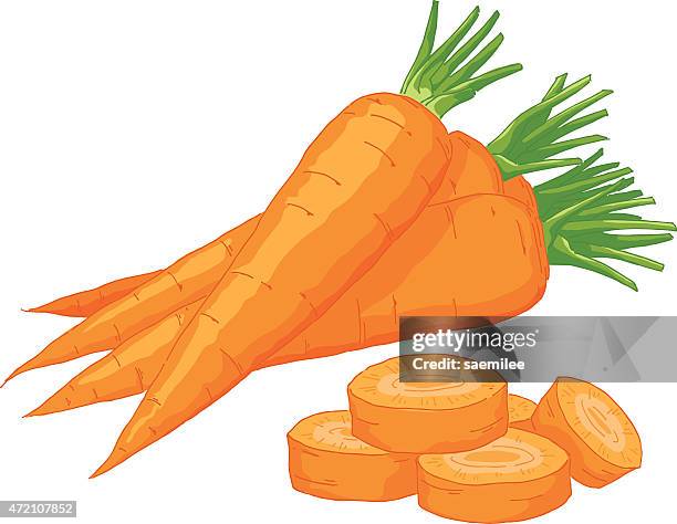 ilustrações de stock, clip art, desenhos animados e ícones de cenoura - cenoura
