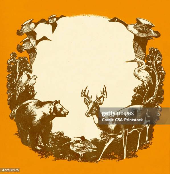 wild animal border - animal wildlife stock illustrations