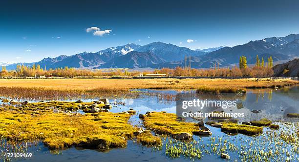beautiful landscape in norther part of india - himalayas india stock pictures, royalty-free photos & images
