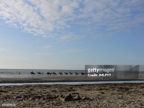 normandy, deauville, coast, horse ride, france - deauville beach stock pictures, royalty-free photos & images