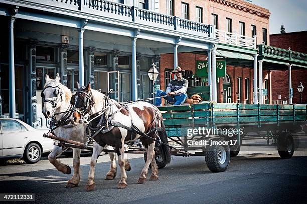 wagon ride - hayride stock pictures, royalty-free photos & images