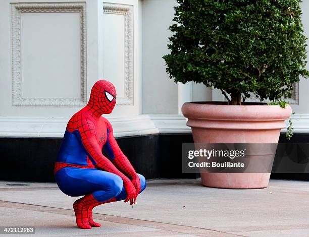 spiderman - uomo ragno foto e immagini stock