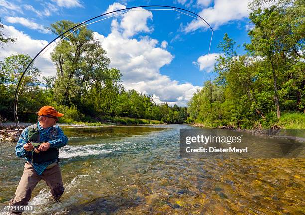 fly fishing with success - wading river stock pictures, royalty-free photos & images