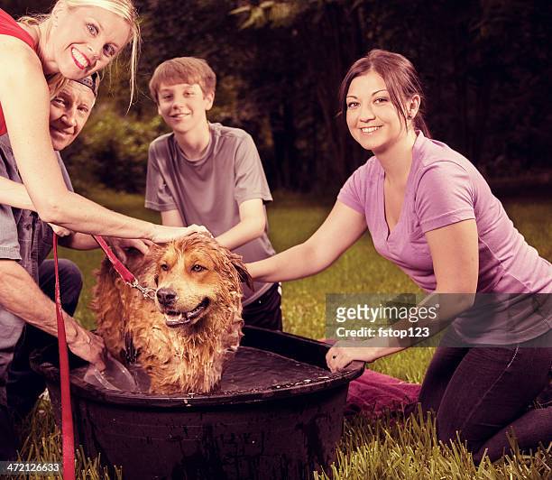 haustiere: multi-generationen-familie gibt haustier hund ein bad.  backyard.  sommer. - kid bath mother stock-fotos und bilder