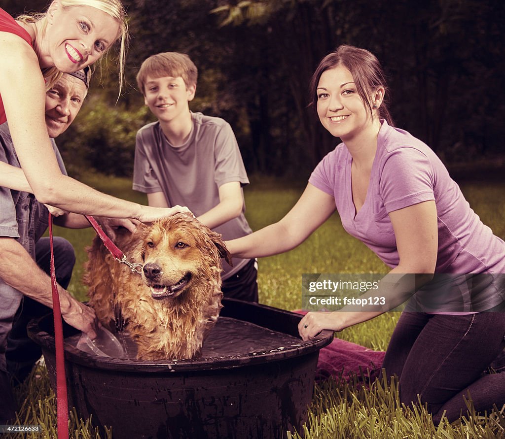 ペット： 多世代家族では、ペットの犬のバスルーム。 裏庭ます。 夏ます。