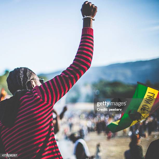 raised hand. - rastafarian stock pictures, royalty-free photos & images