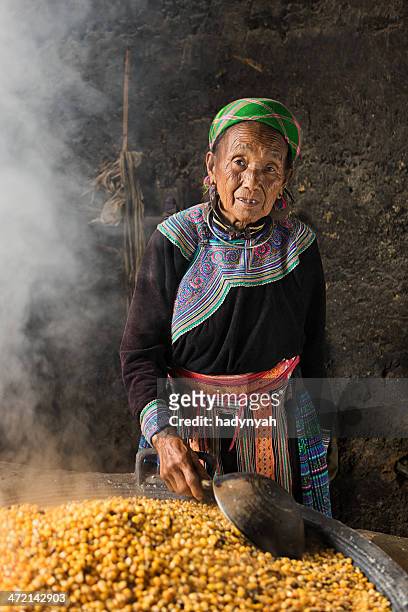 vietnamese old woman from flower hmong tribe preparing corn wine - hot vietnamese women stock pictures, royalty-free photos & images