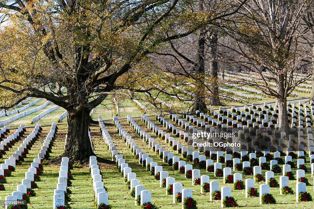 Arlington National Cemetery with Christmas wreaths -XXXL