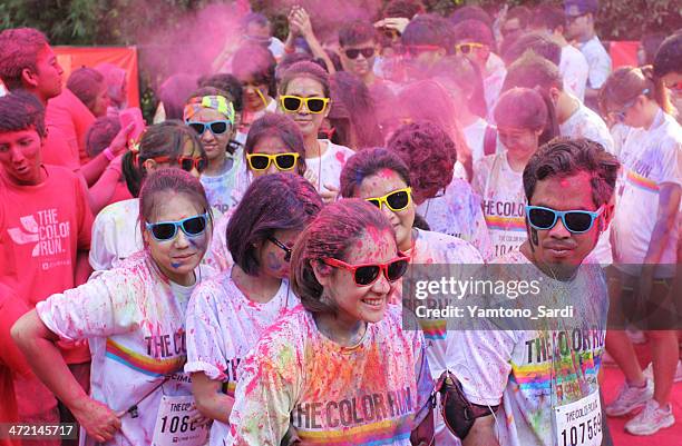 the color run - paint race stock pictures, royalty-free photos & images