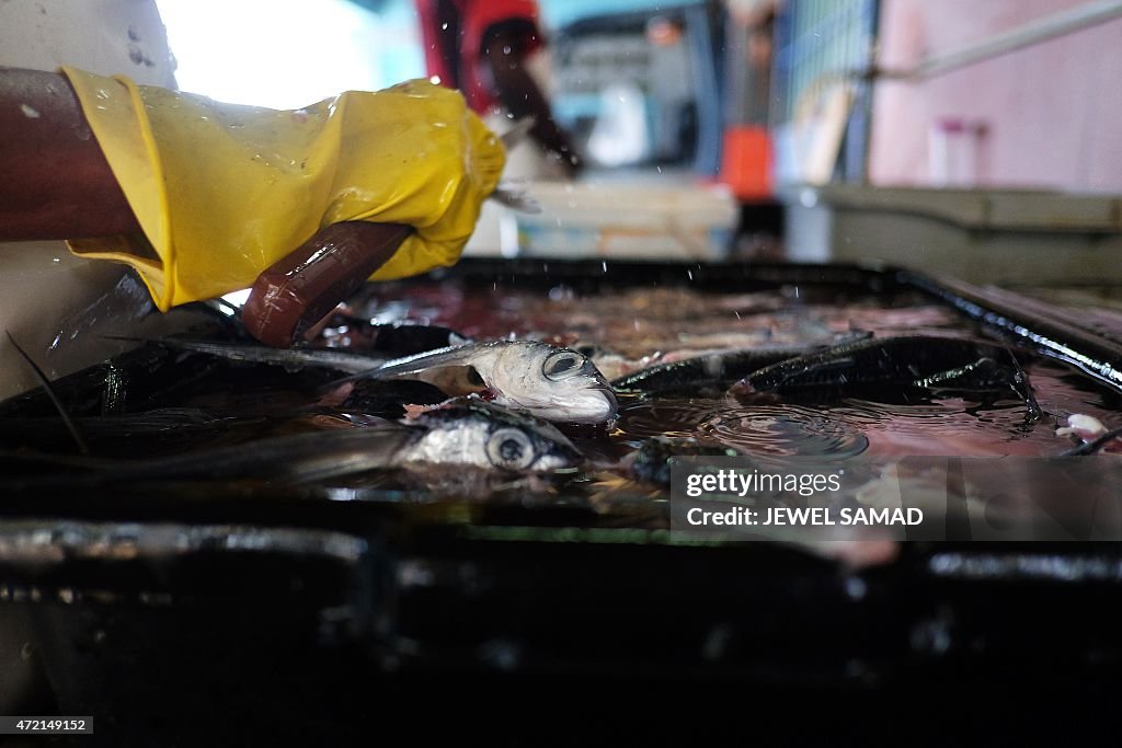 BARBADOS-ECONOMY-FISHERY