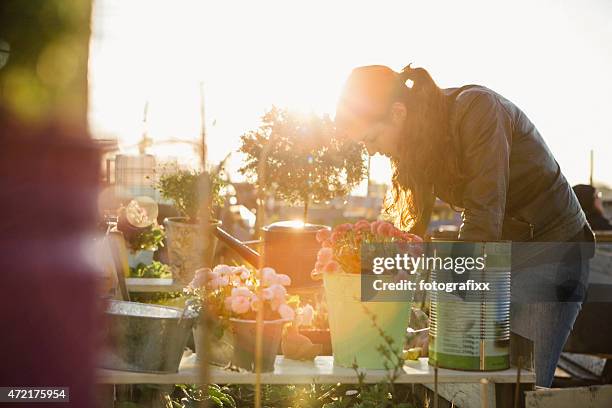 mujer joven de jardinería urbana proyecto en la cama elevada - jardín urbano fotografías e imágenes de stock