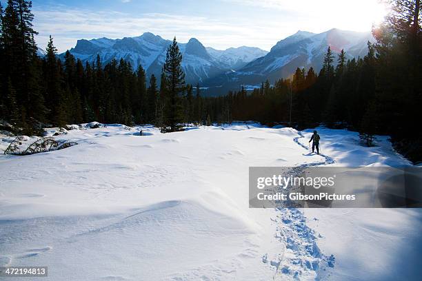 schneeschuhwanderungen in der sonne - canadian rocky mountains snow stock-fotos und bilder