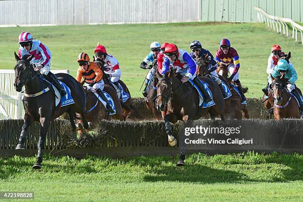 Martin Kelly riding Thubiaan jumping the Tozer rd double before defeating John Allen riding Regina Coeli in Race 6, the Brierly Steeplechase during...