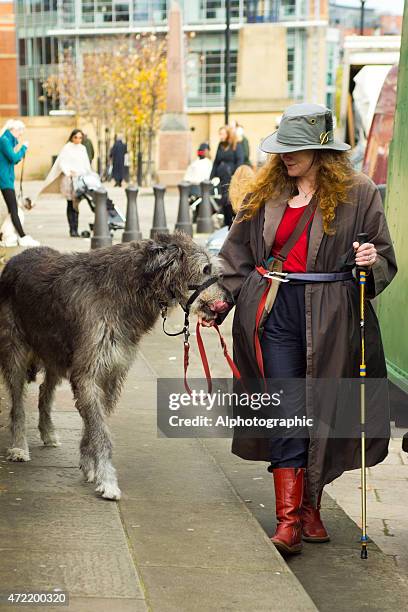 carattere su newcastle quayside - irish wolfhound foto e immagini stock