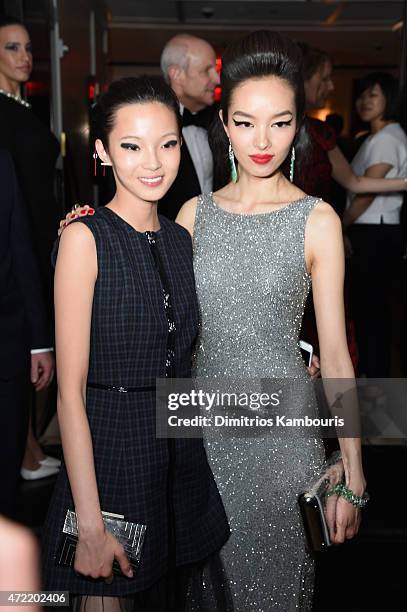 Fei Fei Sun attends Michael Kors and iTunes After Party at The Mark Hotel on May 4, 2015 in New York City.