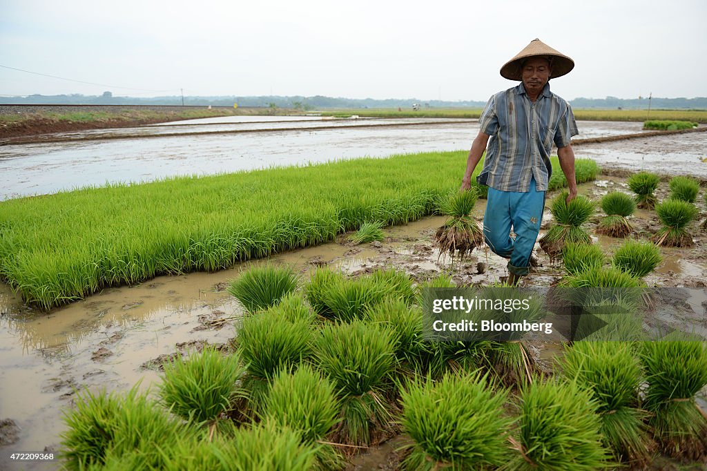 How Not to Build a Power Plant: a Cautionary Tale From Indonesia