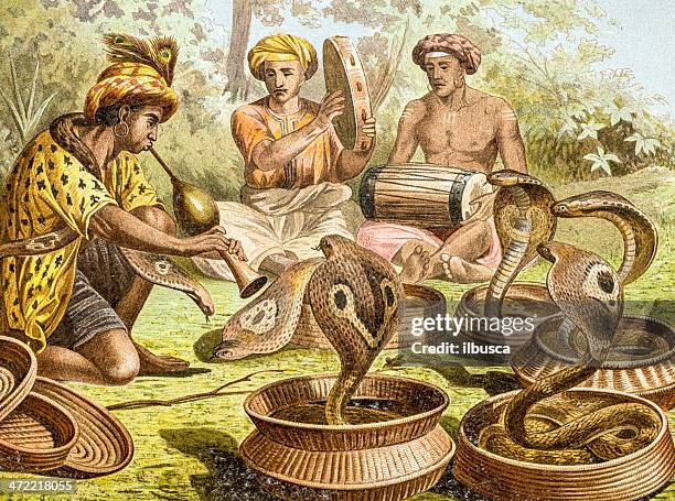 stockillustraties, clipart, cartoons en iconen met antique color illustration of indian cobra (naja naja) - cobra painting