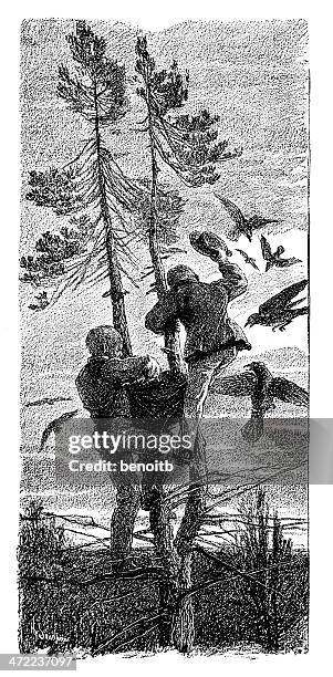 stealing eggs - child climbing tree stock illustrations