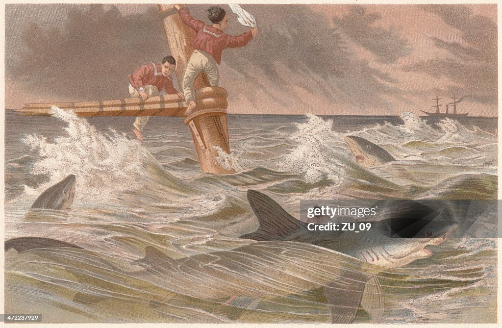 Blue sharks (Prionace glauca) and sailors in danger, lithograph, 1884