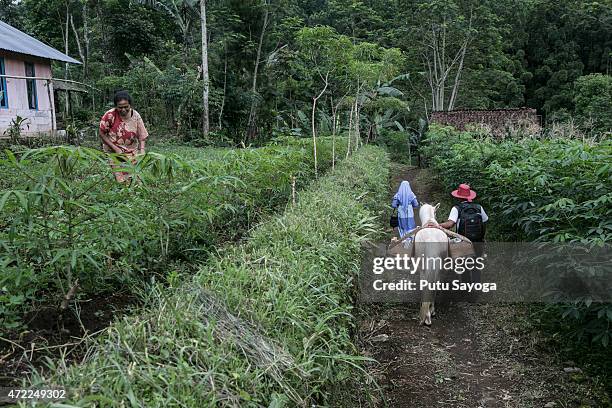 Year old Ridwan Sururi accompanied by his daughter Indriani Fatmawati and Luna, a horse used as mobile library walk to Miftahul Huda Islamic...