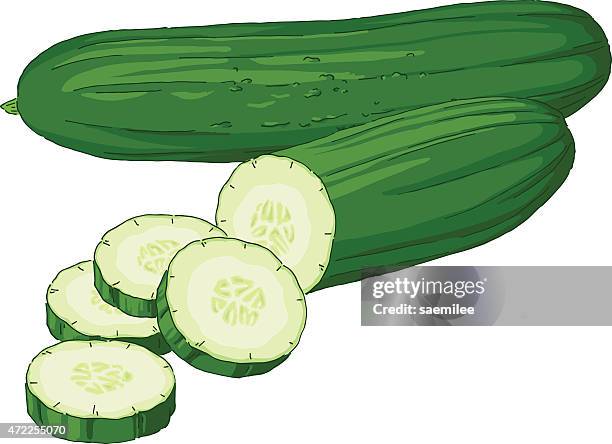 illustrazioni stock, clip art, cartoni animati e icone di tendenza di cetriolo - cetriolo