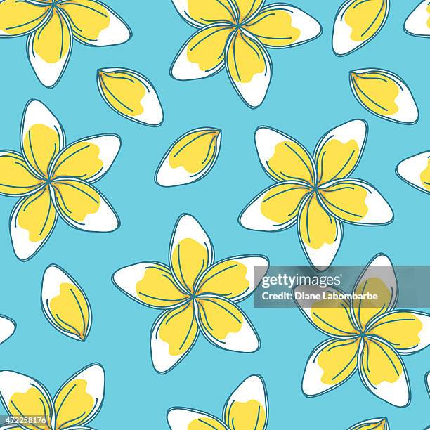 sketchy frangipani flowers seamless pattern - frangipani stock illustrations