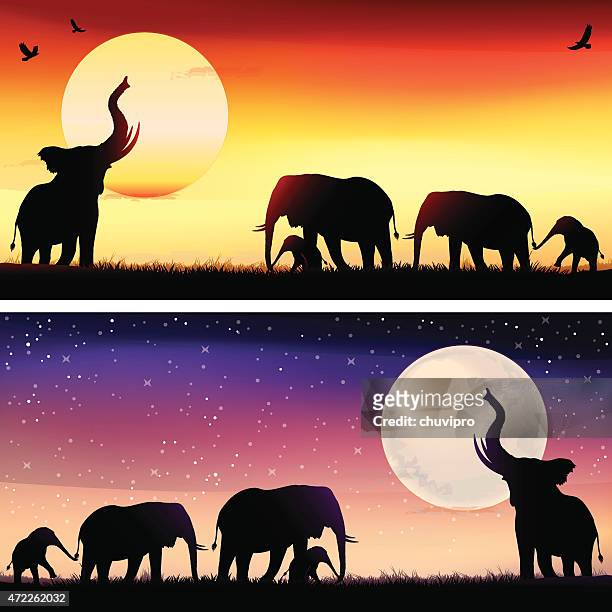 african elephants silhouettes safari illustrations set - safari 幅插畫檔、美工圖案、卡通及圖標