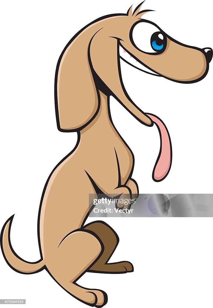 Weiner Dog