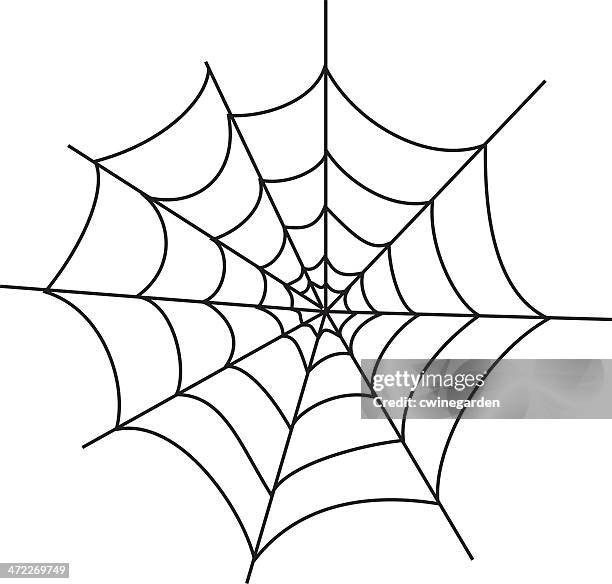 stockillustraties, clipart, cartoons en iconen met basic spiderweb (vector) - spinnenweb