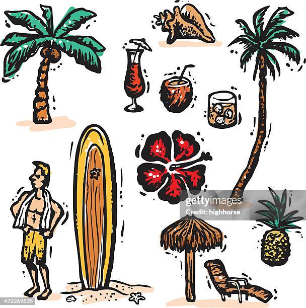 tropical vacation bonus pack - vector - conch shell stock illustrations